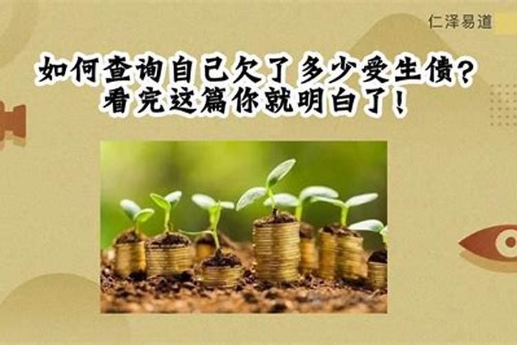 属羊人今年能建房吗