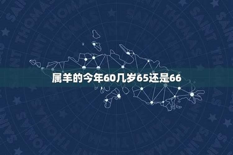 属羊今年60几岁数了