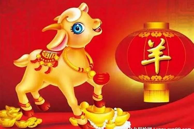 属羊多少岁今年2019