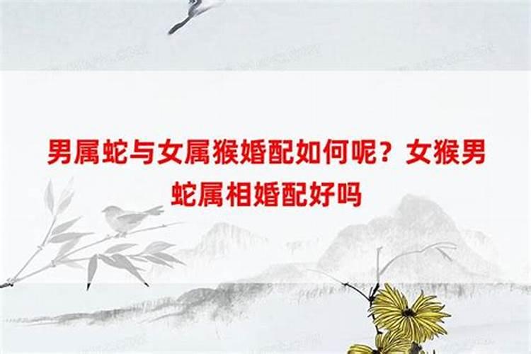 双子座今年的运气好吗