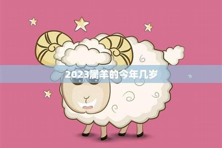 属羊的今年多少岁2004年出生