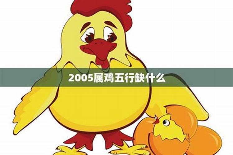 2005属鸡的是什么命运