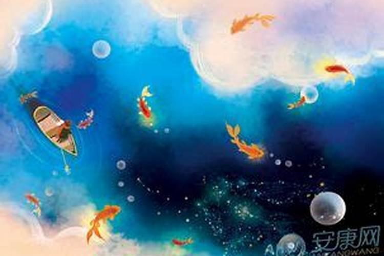 梦见好多彩色鱼在空中游