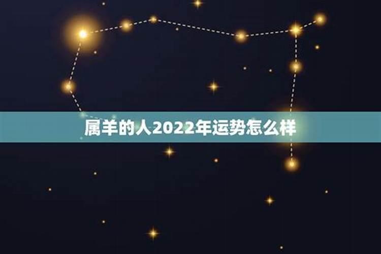 属羊的2022的运势怎么样