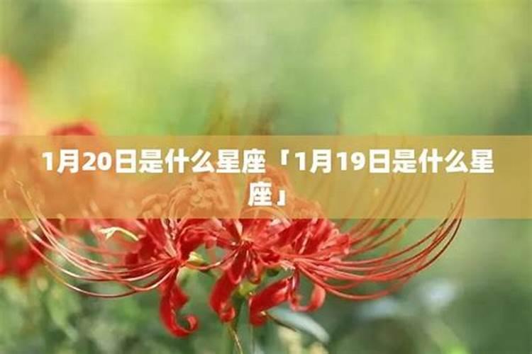 2021年1月20日是什么座