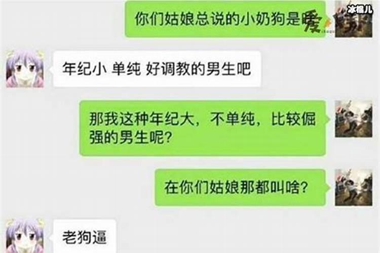 小奶狗指什么样的男生？女属狗男属兔要个属啥的孩子