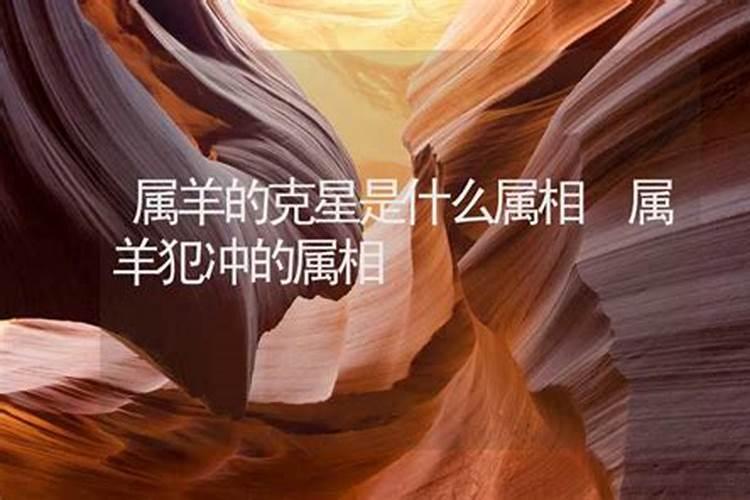 属羊的克星是什么属相呢