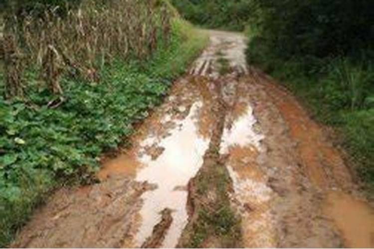 女人梦见自己冒雨前行道路泥泞