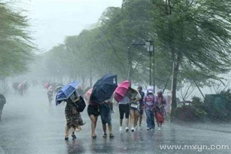 梦见狂风暴雨人必死预示什么