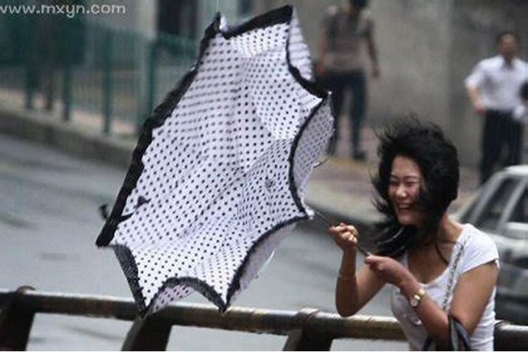 女人梦见刮大风下大雨吹进屋