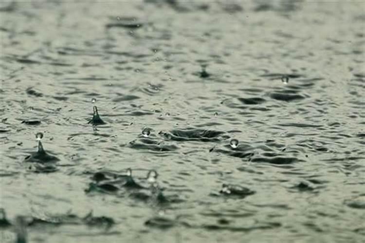 梦见突然刮台风下大雨