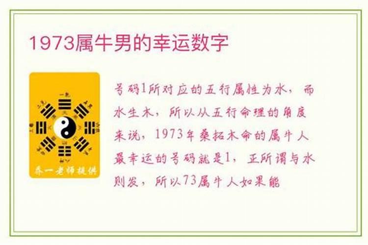 1973年屬牛的今年命運,73年屬牛的人今年財運怎麼樣