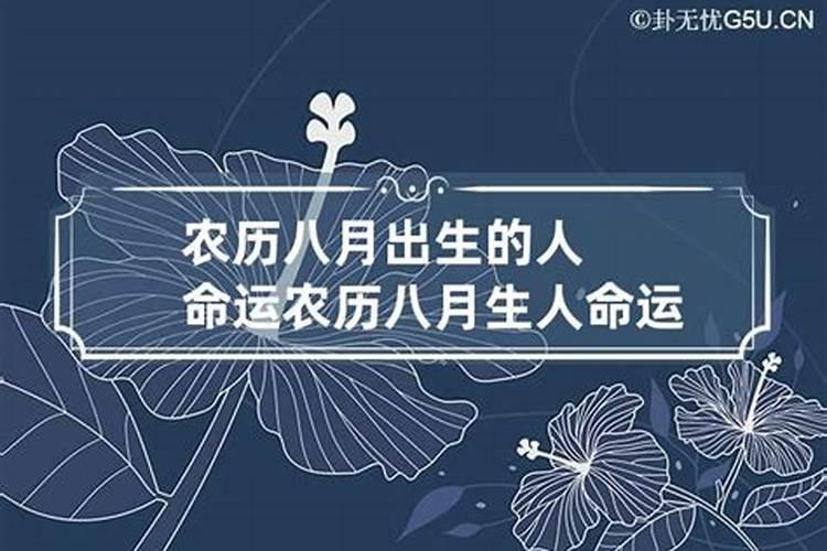 11月初八是什么星座