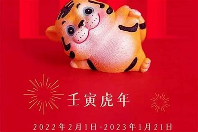 2022年出生的宝宝生肖是