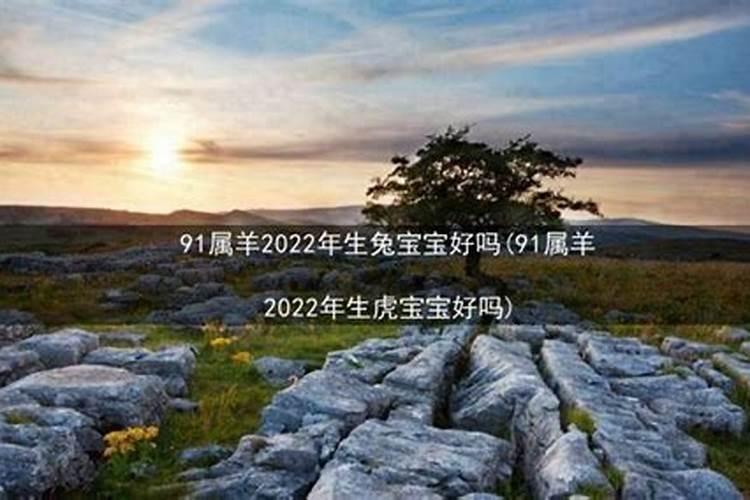 2022年生宝宝什么生肖好命