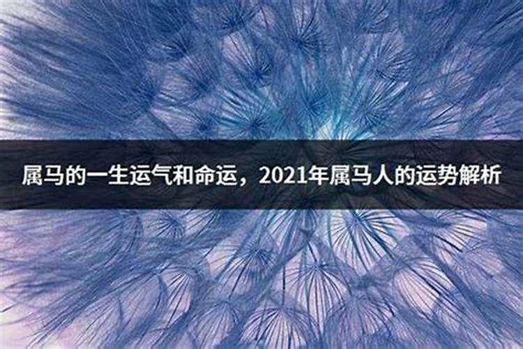 2022年马年的运势