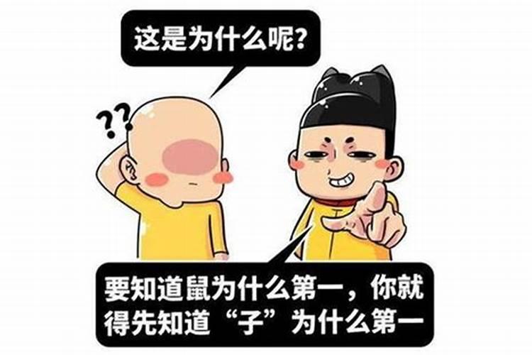 贪吃又爱睡是什么生肖