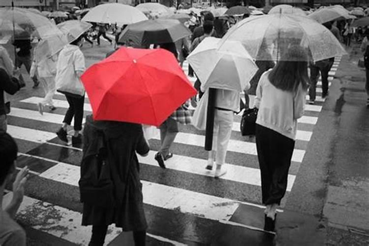 已婚女人梦见雨伞预示什么