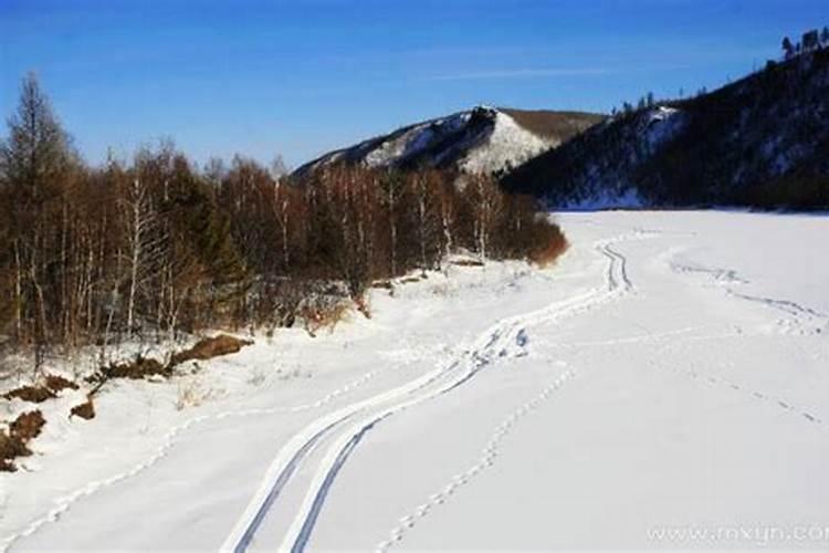 梦见在雪上滑行