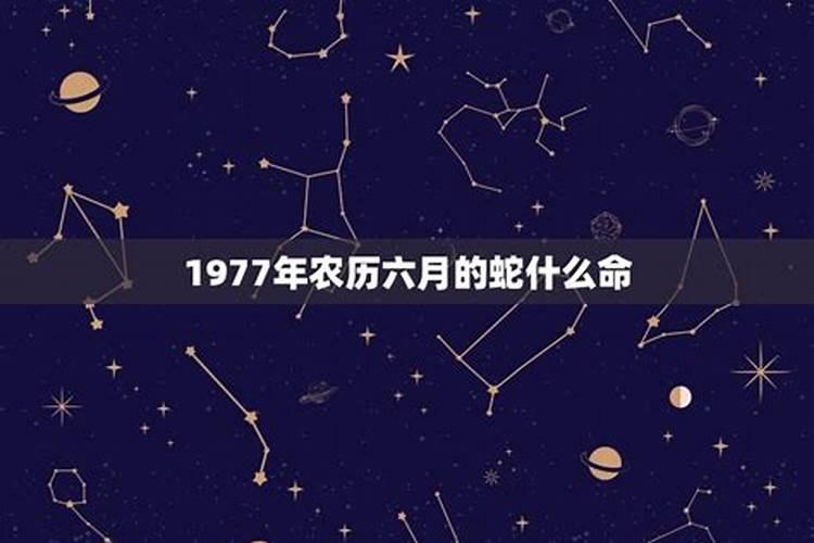 属蛇1977年是什么星座7月二十二