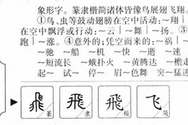 飞字五行属什么的属性