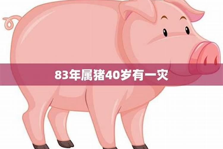 83年的猪男2023年的全程运势怎么样