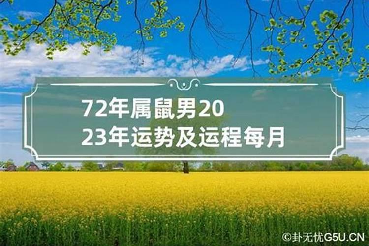 72年属鼠2023年运势及运程每月运程男