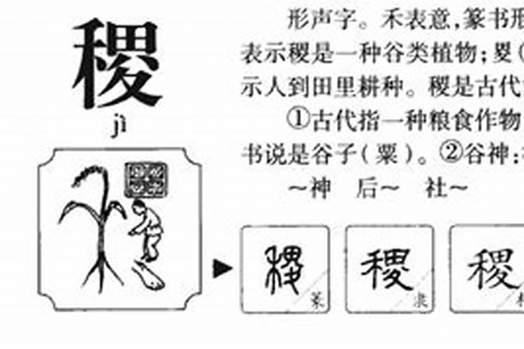 稷字五行属什么意思