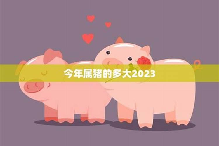 1973年属年人在2023年运势