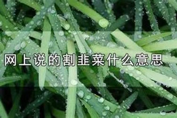 梦到韭菜是什么寓意