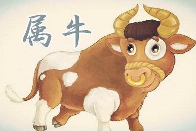 今年68岁属什么生肖的