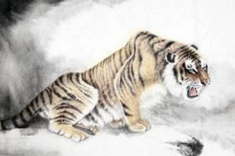 1986年出生的属虎的是什么命