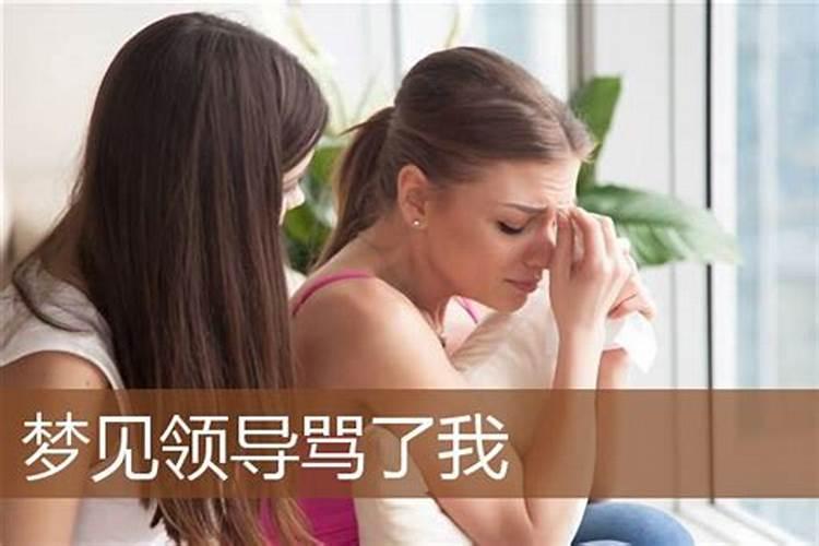 梦见很多人骂我是什么意思