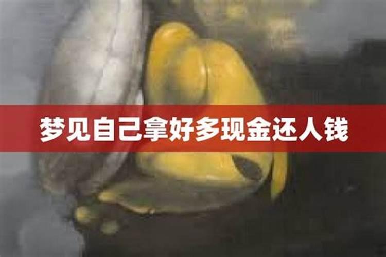 做梦梦到蛇皮袋里全部现金