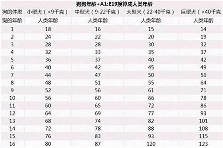 2018年出生属狗的今年几岁了