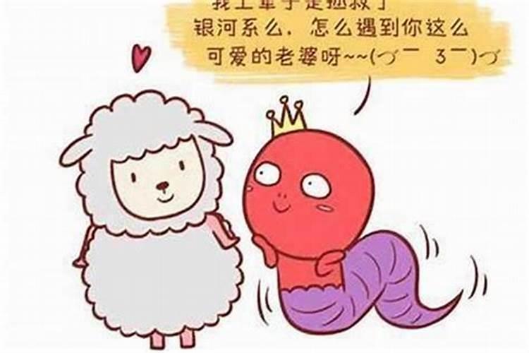 男属蛇和女属羊的婚姻如何