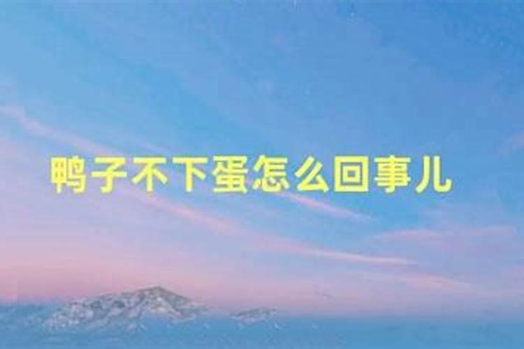 梦到鸭子怎么回事