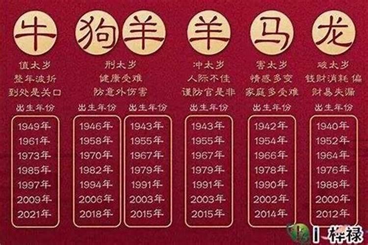 属兔的幸运色是什么颜色2020年份