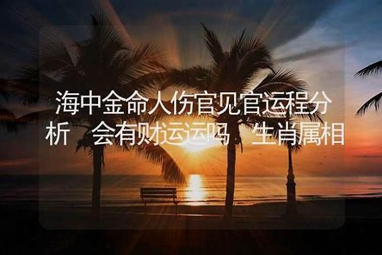 海中金命的运势