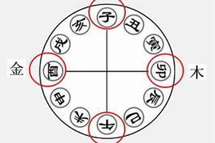 竹字的五行属性是什么