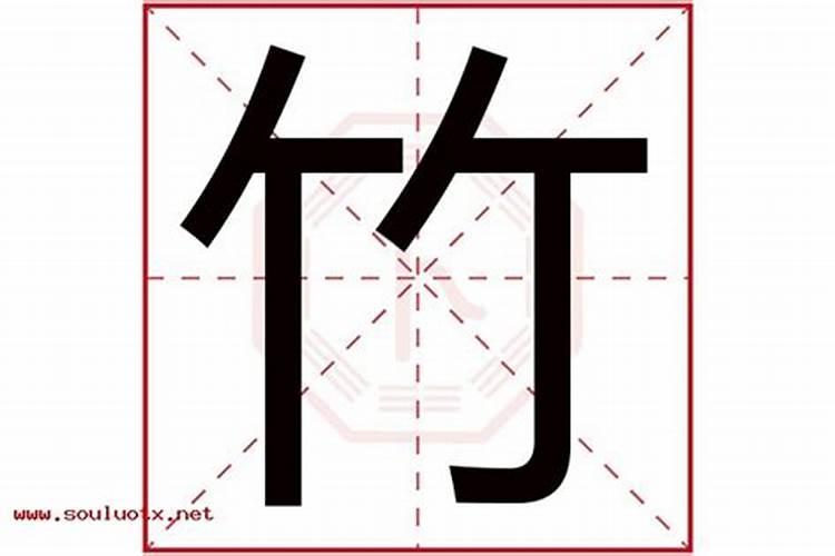 竹字五行属什么及解释