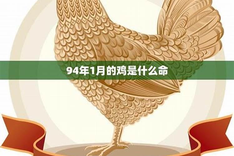 65岁属鸡的是什么星座