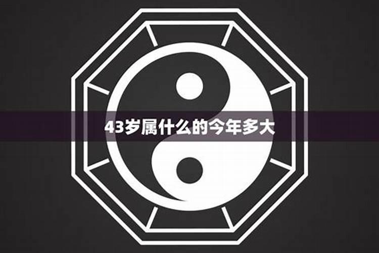 43岁是什么属相的