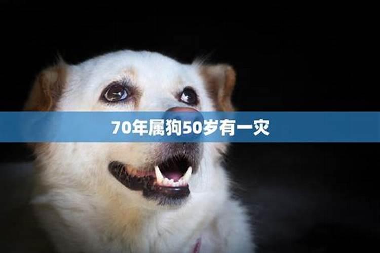 属狗人50岁有灾70年出生的2022年算是51岁吗