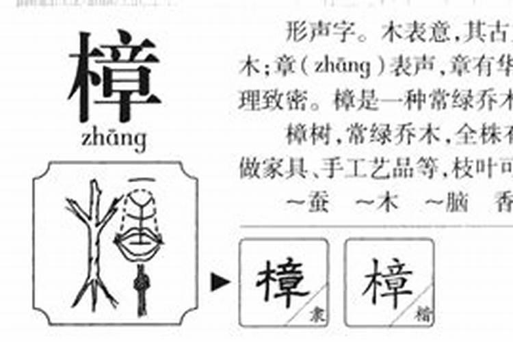 樟字五行属什么的