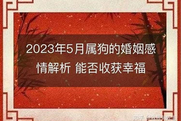 为什么属狗的婚姻不好？