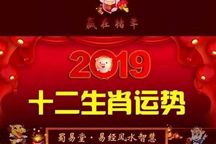 2019年十二生肖运势详解(最新完整版)2020