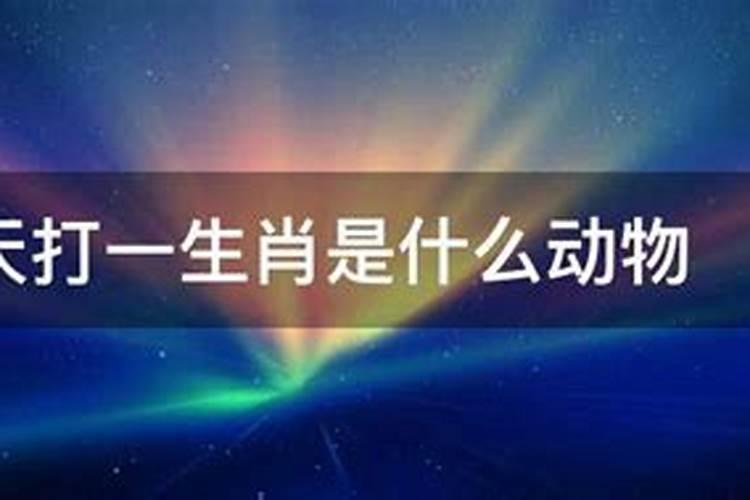 野外一战生肖中代表什么动物