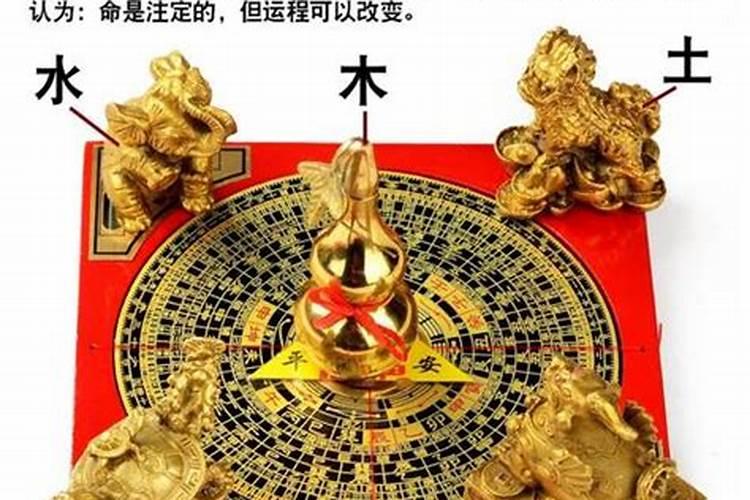 属兔的今年能结婚吗吉利吗