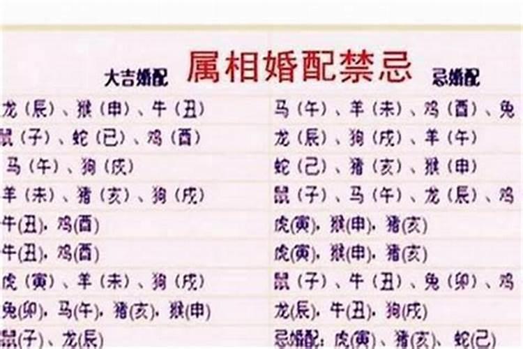 属虎女最佳婚配属什么